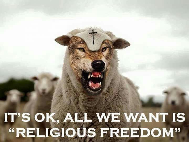 religious freedom