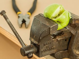 religious instruction teacher between a rock and a hard place